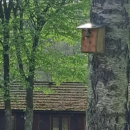 Semesterbostad La Boverie, 216